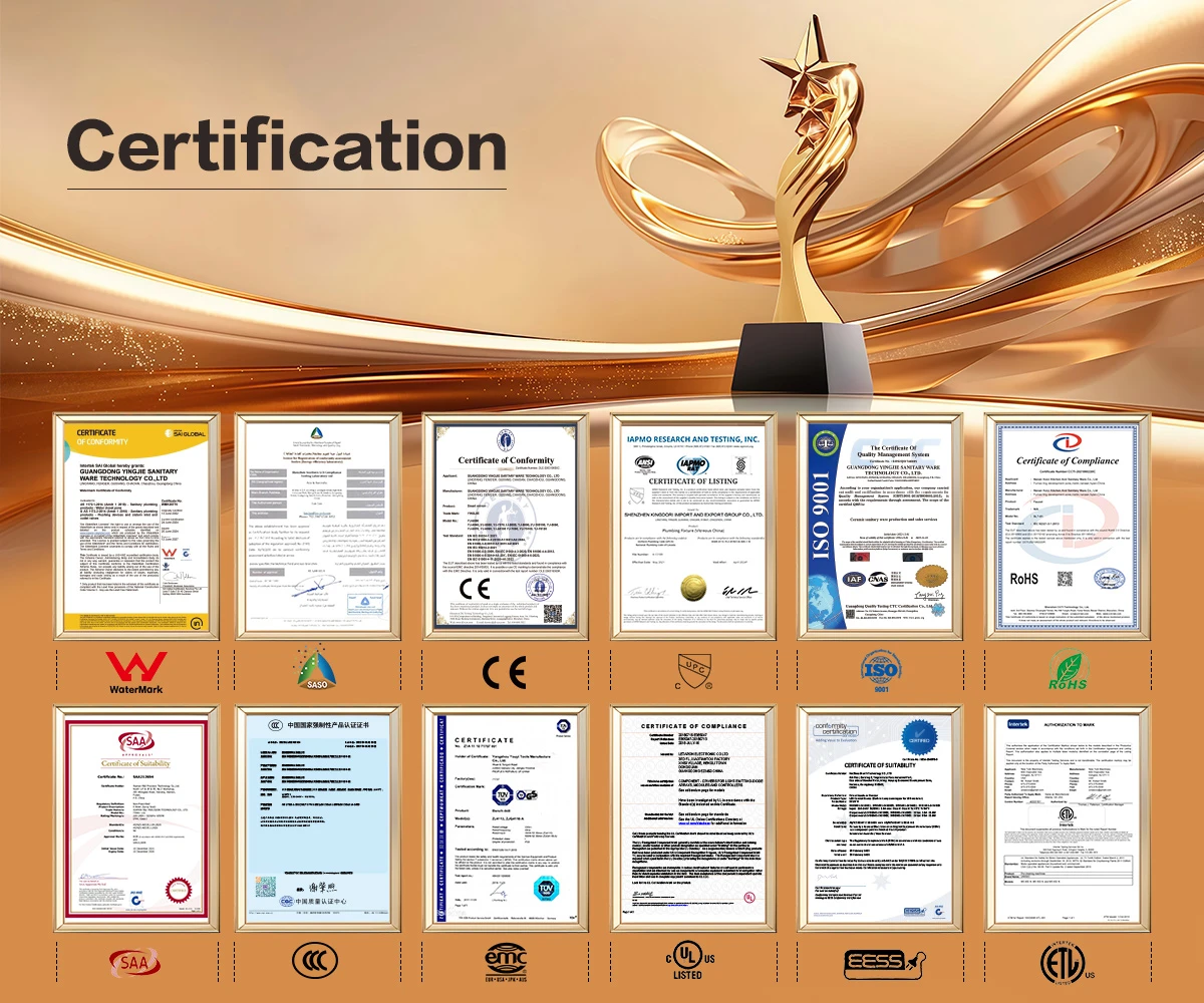 Regular-home Smart Toilet Certificate